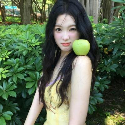 美国谍梦第四季